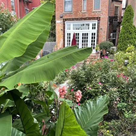 Tranquil In-Town Garden Carriage House, No pet fee