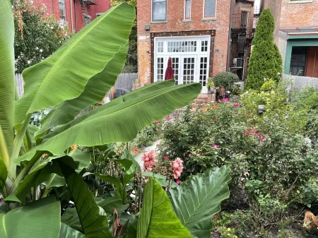 Tranquil In-Town Garden Carriage House, No pet fee Отели рядом с достопримечательностью «Cincinnati Museum Center at Union Terminal»