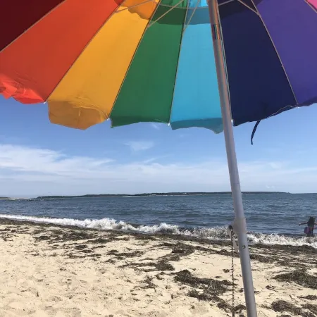 Open Aug 15-22! Your Seaside Sanctuary: Where Cape Cod Charm Meets Coastal Bliss