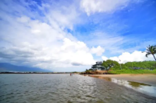 Tracy's Tropical Treasures earned "Best in Kihei" four times and 1 in Maui”