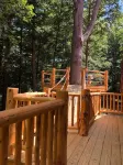 Stunning Riverfront Solar-Powered Cabin  (back-up generator)