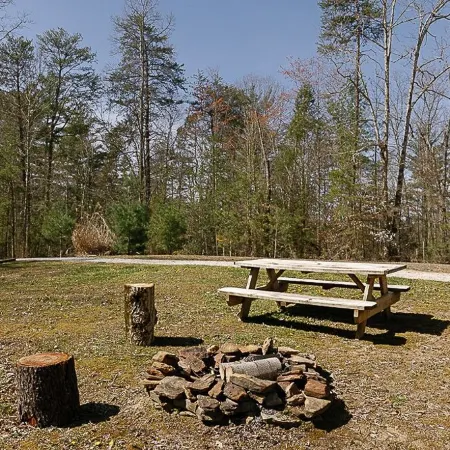 "Stars Hollow" Cozy Mini Cabin Stay - RRG