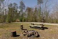 "Stars Hollow" Cozy Mini Cabin Stay - RRG