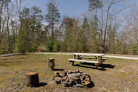 "Stars Hollow" Cozy Mini Cabin Stay - RRG