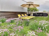Family Friendly Art Museum Gem with Private Roof Garden
