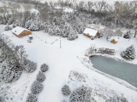 Rustic Cottage Retreat Отели в г. Коллинс