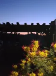 Stunning Views! Rustic cabin facing the base of Grand Canyon West - Chalets