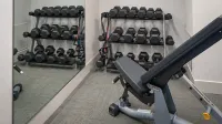 Holiday Inn ST. PAUL DOWNTOWN by IHG - Gym