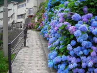 Higashigata No Yu Hoteles en Ōsaki