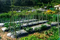 거제도 소국펜션 거제식물원 주변 호텔