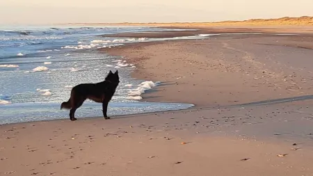 Beautiful vacation apartment in a Swedish house Отели в г. Рендсбург-Экернфёрде