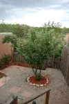 Vingarage Atelier-Views-Privacy-Xtra Pet Acres Available