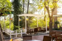Forest Park Hotel Hotels near Winery Cyprus|Cyprus Wine|Vlassides Winery