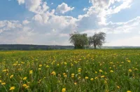 Annas Gästehaus Hotels in Hirschaid
