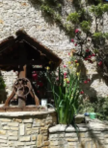 Le Clos de la Salamandre