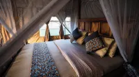 Africa Safari South Serengeti Hotels near Kenzan Luxury Mobile Camp - Ndutu