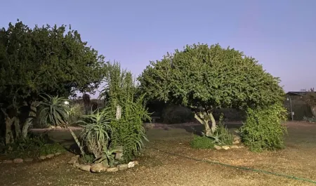 Kudu Ridge Game Lodge Отели рядом с достопримечательностью «Addo Elephant Safaris»