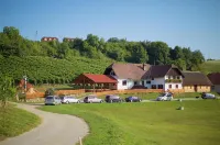 Apartments Lovrec Hotels in City Municipality of Ptuj