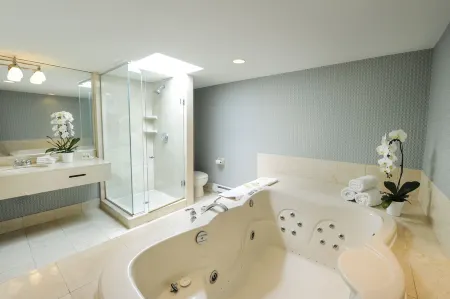 Holiday Inn NIAGARA FALLS - BY THE FALLS by IHG Отели в г. Ниагарский водопад