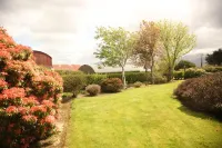 Torine House B&B - Homestays