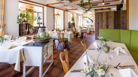 Steinbergs Wildewiese NaturHotel