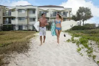 Golden Riviera Absolute Beachfront Resort Hotel in zona Superbee Honeyworld