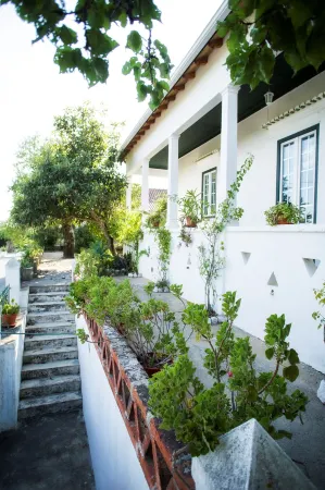 Casa Das Rendufas- Turismo Rural Com Figos