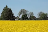 Thatched roof, 2 floors, 82m², private terrace, WiFi, 6 people, 2 bedrooms, large bathroom,