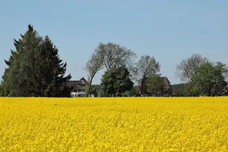 Thatched roof, 2 floors, 82m², private terrace, WiFi, 6 people, 2 bedrooms, large bathroom, Отели в г. Штольпе-на-Узедоме