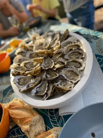 Villa Pool & Spa on the Arcachon Basin
