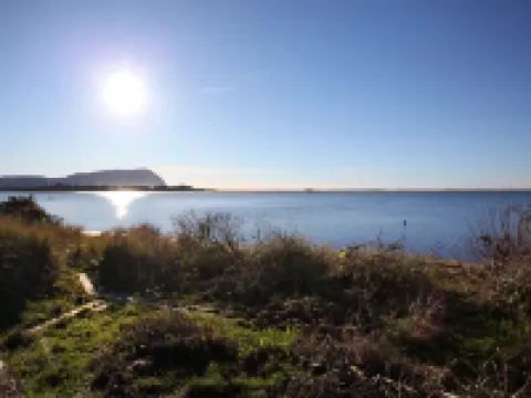 Ocean View and Sun Room - Charming Coastal Retreat