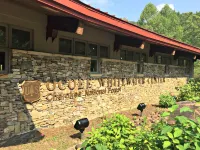 Serene Getaway - Glamping Tent with Rustic Modern Amenities