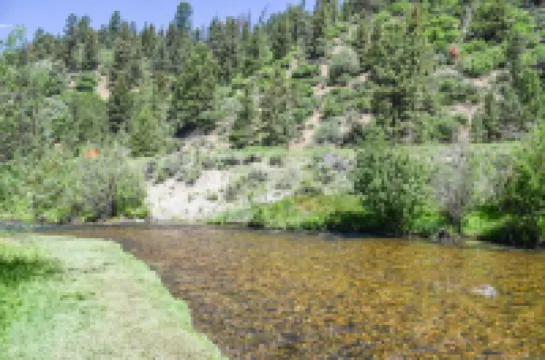 High Speed Wifi and Fireplace - Beautiful and Spacious Retreat