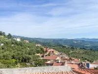 La casa di Bibi