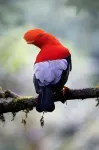 Refugio Paz de las Aves