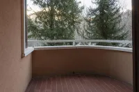 Mirella Wood in Ponte di Legno