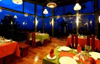 Seed at Queens Meadows, Ranikhet