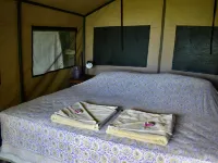 Kitu Kiblu Hotels in Mafia