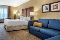 Comfort Inn Meadowlands Hotels in North Strabane Township