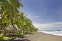 Clandestino Beach - Beach