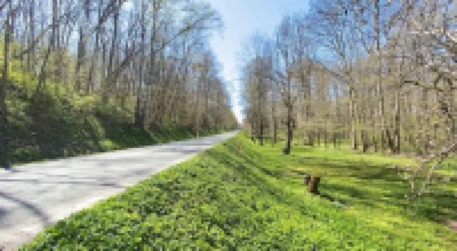 Perfect for Nature Lovers