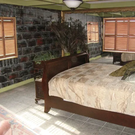 Shady Lady Bed and Breakfast