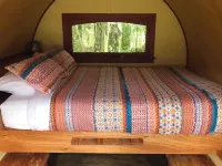 Greytown Campground - balcony