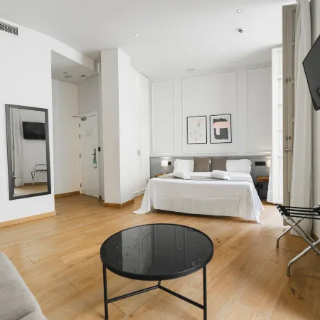 Alcazaba Premium Hotel
