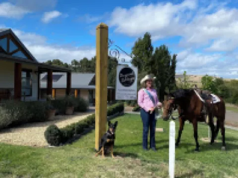 戴森德度假屋 曼斯菲爾德酒店