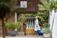 Der Kleine Hans - Gardels Basics