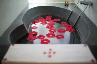 Hue Riverside Boutique Resort & Spa - รีสอร์ท