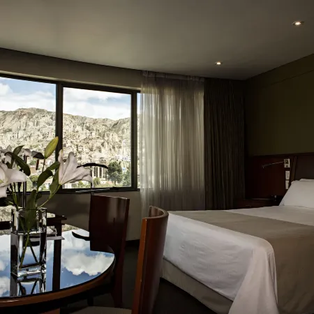 Suites Camino Real