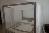 Morning Star Diani