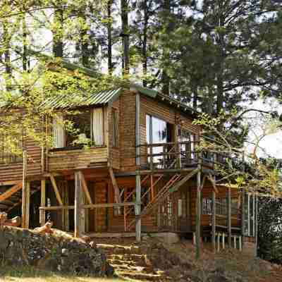 Treks, Trips and Trails Hotel Exterior